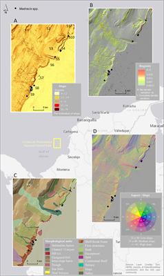 Benthic macrohabitat classification and Madracis spp. coral patch distribution in a deep-sea marine protected area of Colombia